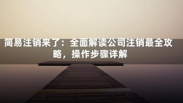 简易注销来了：全面解读公司注销最全攻略，操作步骤详解