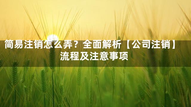 简易注销怎么弄？全面解析【公司注销】流程及注意事项