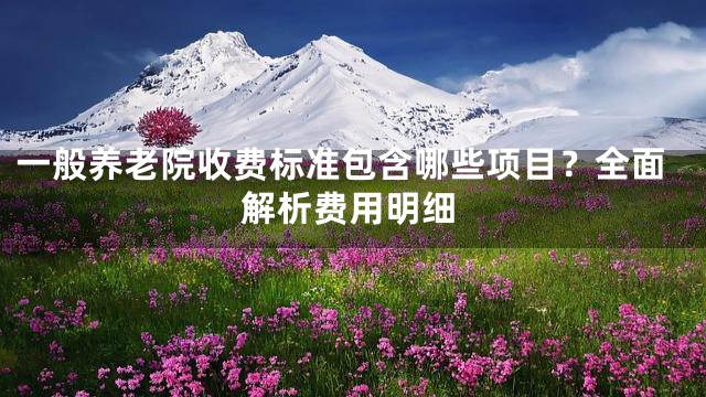 一般养老院收费标准包含哪些项目？全面解析费用明细