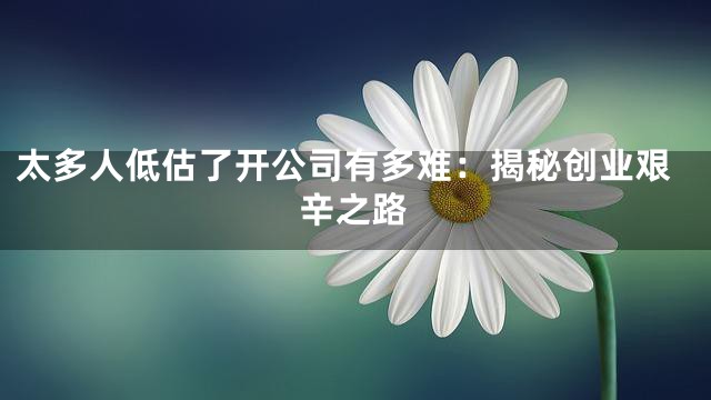 太多人低估了开公司有多难：揭秘创业艰辛之路