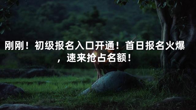 刚刚！初级报名入口开通！首日报名火爆，速来抢占名额！