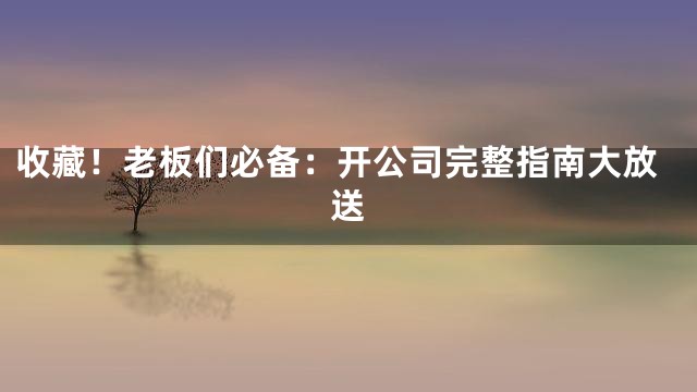 收藏！老板们必备：开公司完整指南大放送