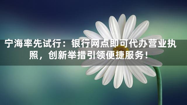 宁海率先试行：银行网点即可代办营业执照，创新举措引领便捷服务！