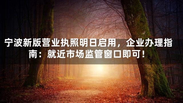 宁波新版营业执照明日启用，企业办理指南：就近市场监管窗口即可！