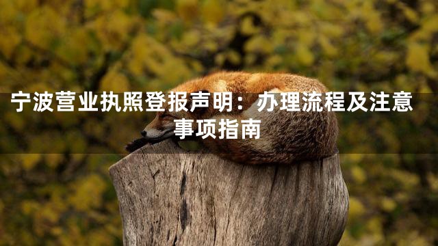 宁波营业执照登报声明：办理流程及注意事项指南