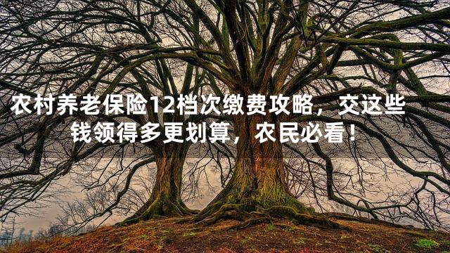 农村养老保险12档次缴费攻略，交这些钱领得多更划算，农民必看！