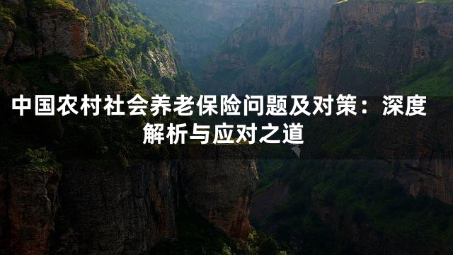 中国农村社会养老保险问题及对策：深度解析与应对之道