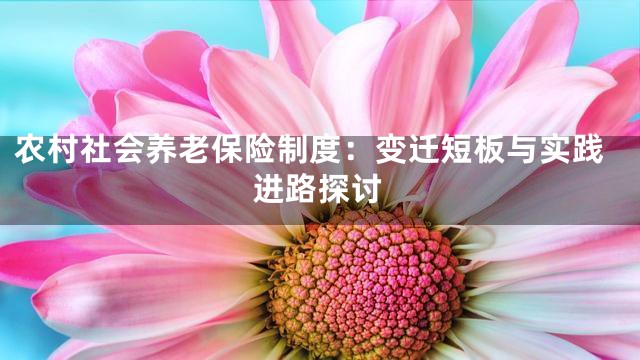 农村社会养老保险制度：变迁短板与实践进路探讨