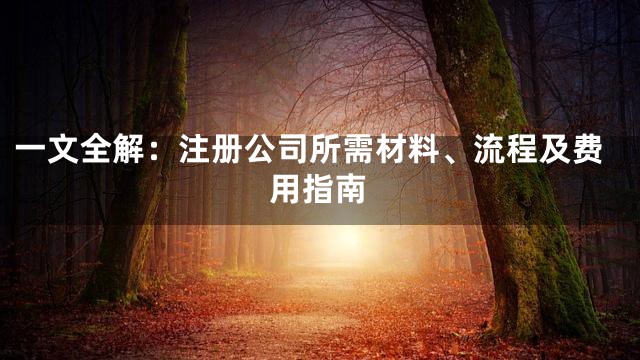 一文全解：注册公司所需材料、流程及费用指南