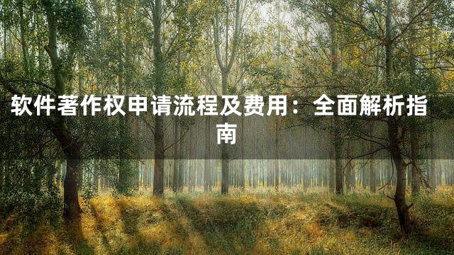 软件著作权申请流程及费用：全面解析指南