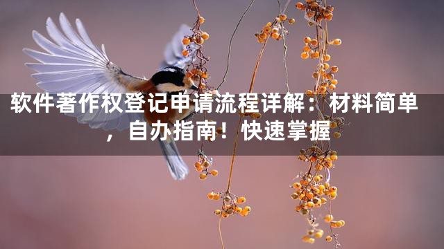 软件著作权登记申请流程详解：材料简单，自办指南！快速掌握