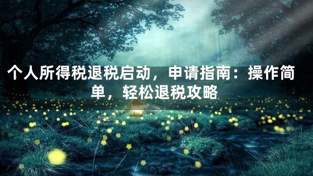 个人所得税退税启动，申请指南：操作简单，轻松退税攻略
