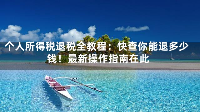 个人所得税退税全教程：快查你能退多少钱！最新操作指南在此