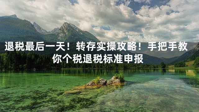 退税最后一天！转存实操攻略！手把手教你个税退税标准申报