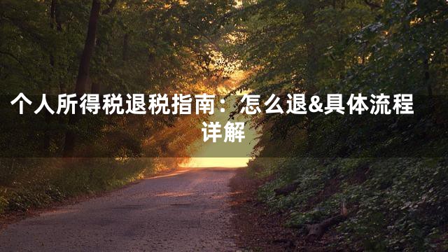 个人所得税退税指南：怎么退&具体流程详解