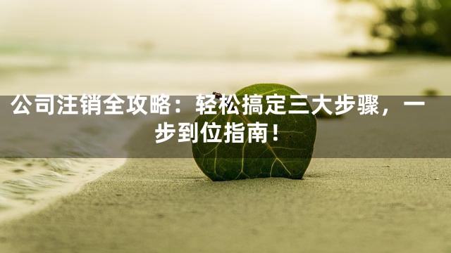 公司注销全攻略：轻松搞定三大步骤，一步到位指南！