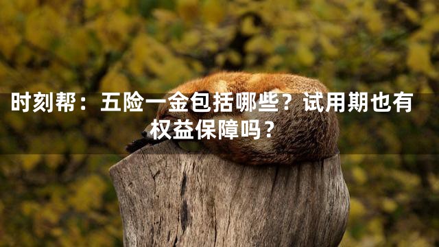 时刻帮：五险一金包括哪些？试用期也有权益保障吗？