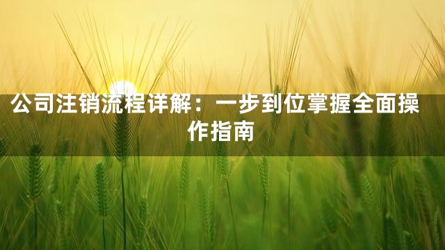 公司注销流程详解：一步到位掌握全面操作指南