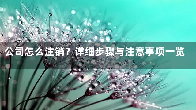 公司怎么注销？详细步骤与注意事项一览