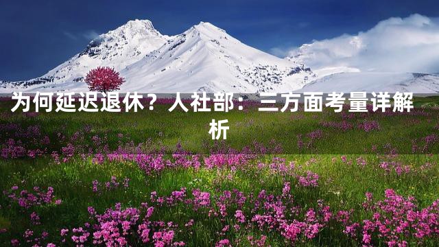 为何延迟退休？人社部：三方面考量详解析