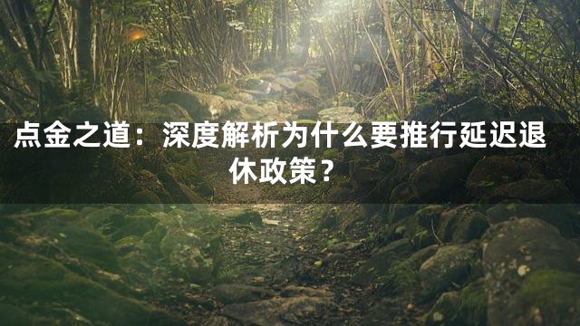 点金之道：深度解析为什么要推行延迟退休政策？
