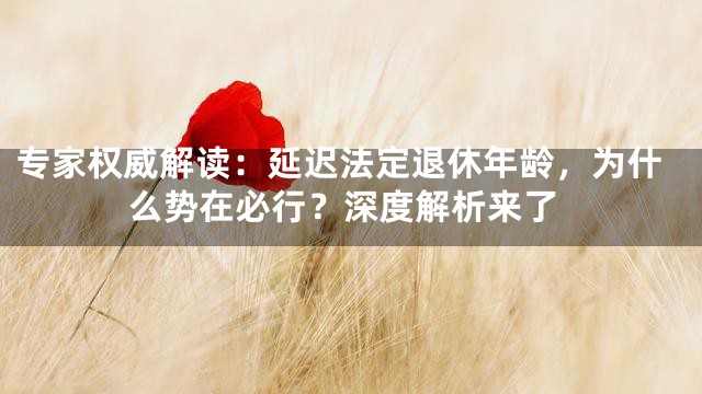 专家权威解读：延迟法定退休年龄，为什么势在必行？深度解析来了