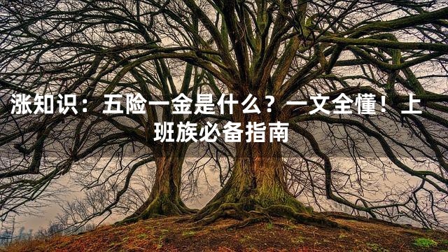 涨知识：五险一金是什么？一文全懂！上班族必备指南