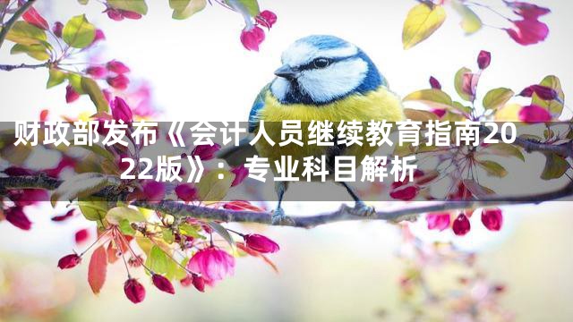 财政部发布《会计人员继续教育指南2022版》：专业科目解析