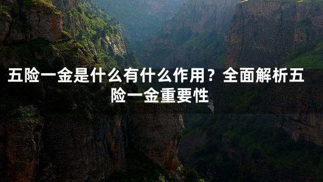 五险一金是什么有什么作用？全面解析五险一金重要性
