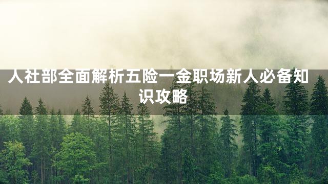 人社部全面解析五险一金职场新人必备知识攻略