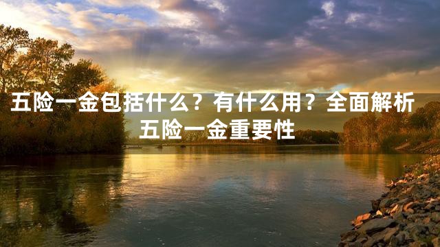 五险一金包括什么？有什么用？全面解析五险一金重要性