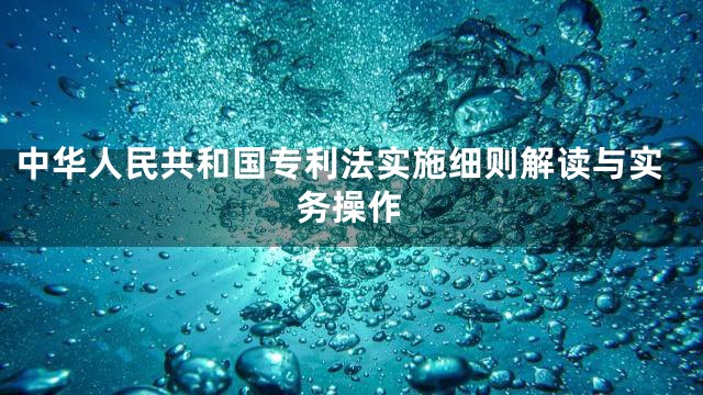 中华人民共和国专利法实施细则解读与实务操作