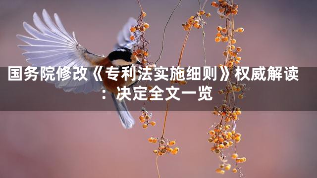 国务院修改《专利法实施细则》权威解读：决定全文一览