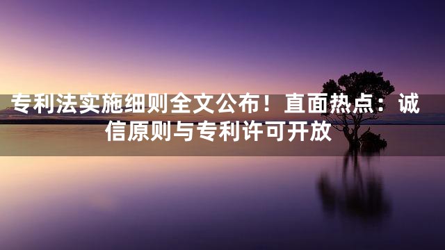 专利法实施细则全文公布！直面热点：诚信原则与专利许可开放