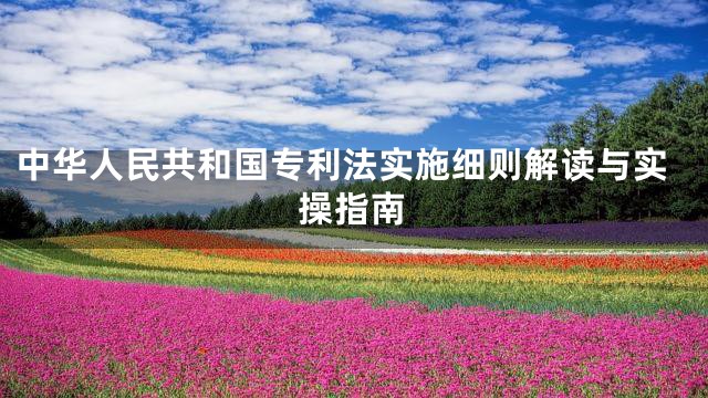 中华人民共和国专利法实施细则解读与实操指南