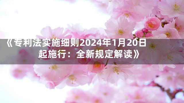 《专利法实施细则2024年1月20日起施行：全新规定解读》