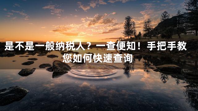 是不是一般纳税人？一查便知！手把手教您如何快速查询