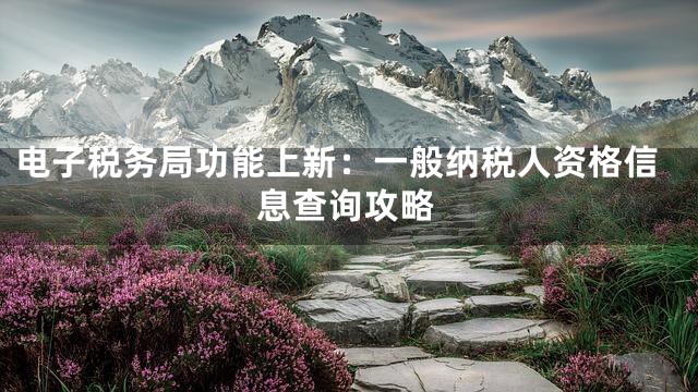 电子税务局功能上新：一般纳税人资格信息查询攻略