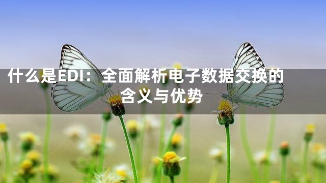 什么是EDI：全面解析电子数据交换的含义与优势