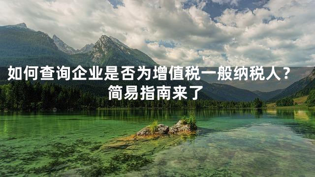 如何查询企业是否为增值税一般纳税人？简易指南来了