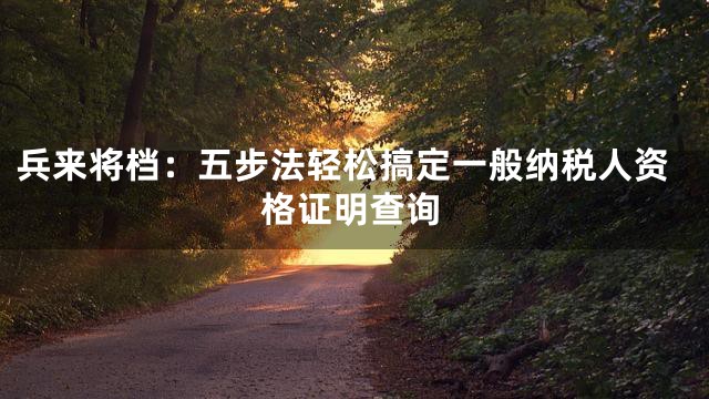兵来将档：五步法轻松搞定一般纳税人资格证明查询