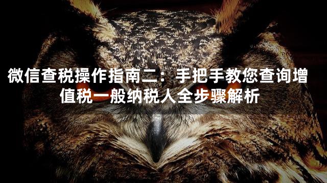 微信查税操作指南二：手把手教您查询增值税一般纳税人全步骤解析