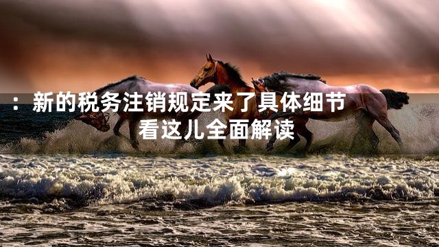 ：


新的税务注销规定来了具体细节看这儿全面解读