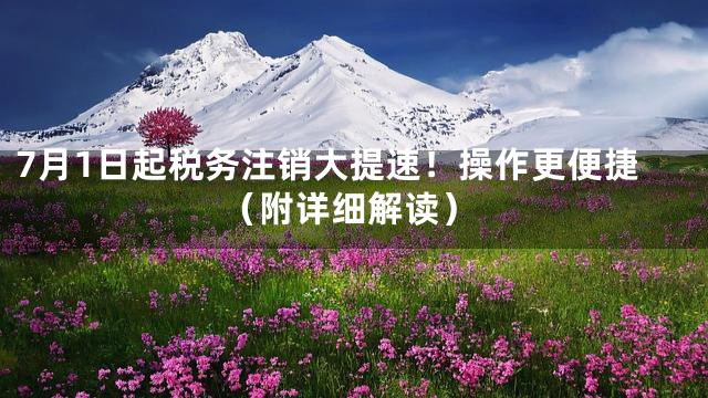 7月1日起税务注销大提速！操作更便捷（附详细解读）
