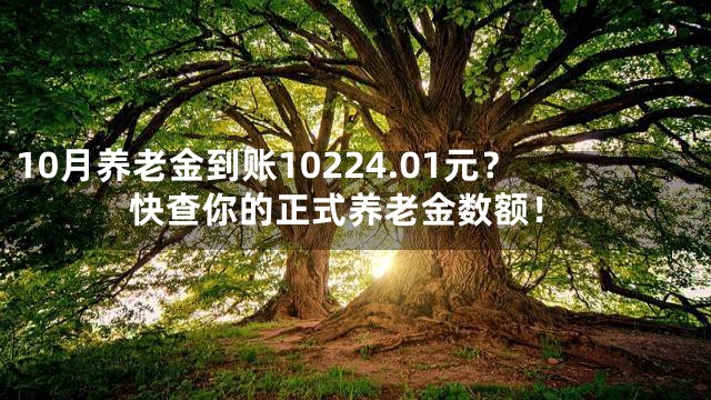 10月养老金到账10224.01元？快查你的正式养老金数额！