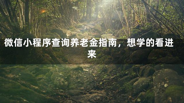 微信小程序查询养老金指南，想学的看进来