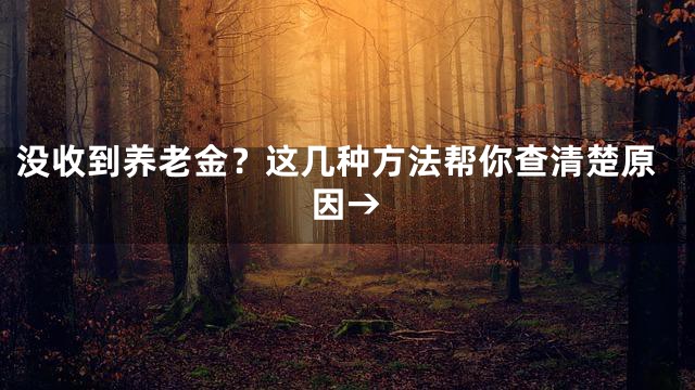 没收到养老金？这几种方法帮你查清楚原因→