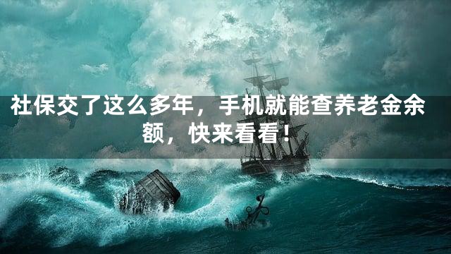社保交了这么多年，手机就能查养老金余额，快来看看！