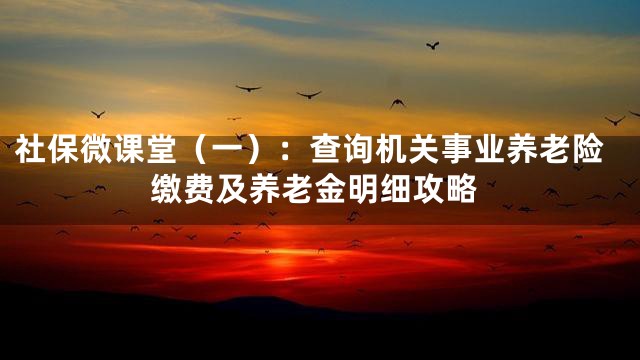 社保微课堂（一）：查询机关事业养老险缴费及养老金明细攻略