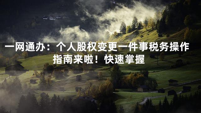 一网通办：个人股权变更一件事税务操作指南来啦！快速掌握